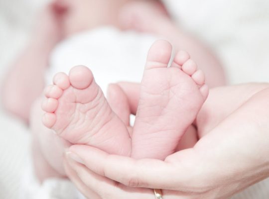 découvrez notre guide complet sur les soins pour bébé, incluant des conseils pratiques sur l'hygiène, l'alimentation, le sommeil et les activités. offrez à votre petit les meilleurs débuts dans la vie avec nos astuces et recommandations de produits.