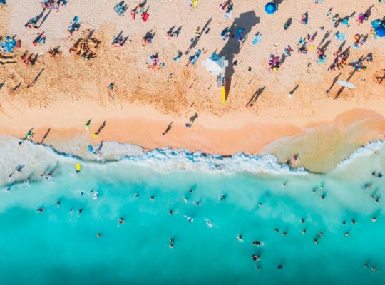 découvrez notre collection de serviettes de plage confortables et stylées, idéales pour profiter du soleil, des baignades et des moments de détente au bord de l'eau. matériaux absorbants et designs variés pour tous les goûts.