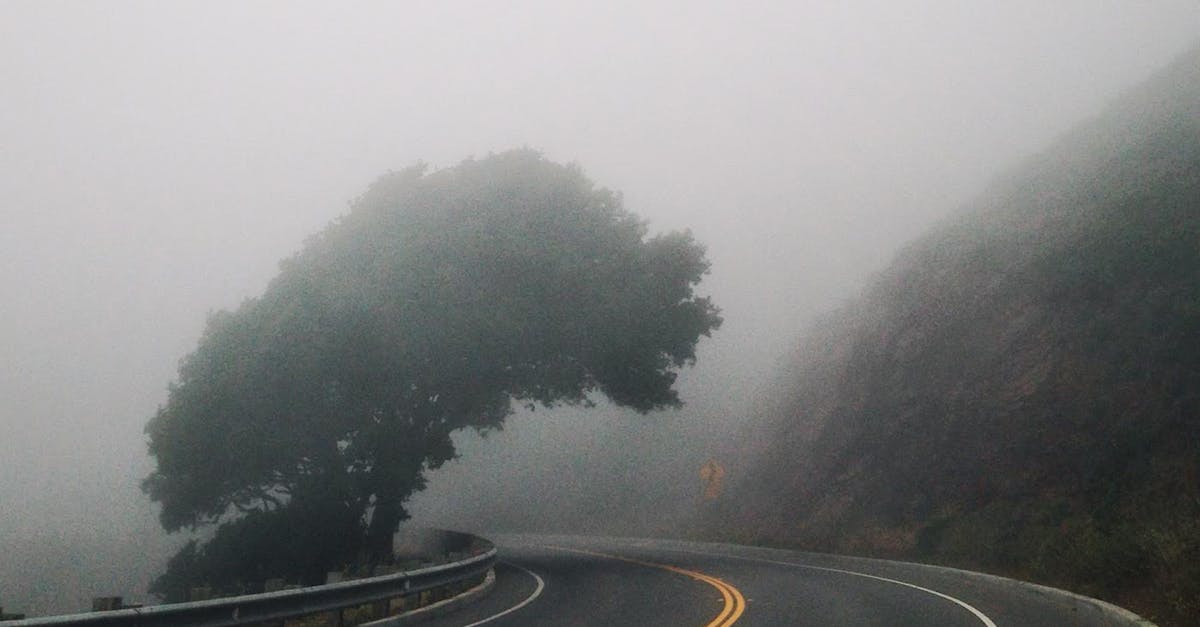 découvrez twity, une plateforme innovante dédiée à la communication instantanée, au partage de messages et à l'interaction sociale. rejoignez une communauté dynamique et exprimez-vous librement en temps réel !