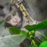 Découvrez les trésors cachés de Bali avec le site Bali Tourist