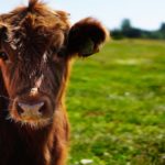 Découvrez les dernières actus sur le blog de référence CCW