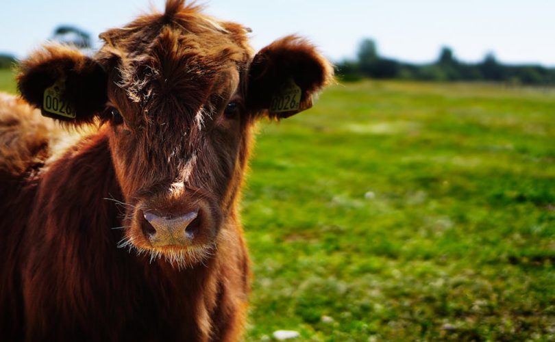 découvrez ce qu'est le ccw, son importance, ses domaines d'application et comment il impacte votre quotidien. explications claires et exemples concrets à l'appui.