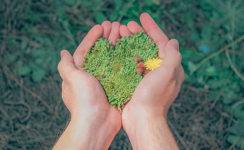 découvrez comment adopter des pratiques durables pour protéger l'environnement, réduire votre empreinte écologique et bâtir un avenir plus responsable grâce à des conseils, actualités et solutions autour de la durabilité.