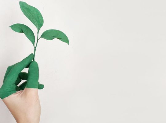 découvrez la mode durable : des vêtements éthiques, éco-responsables et respectueux de l’environnement. adoptez un style tendance tout en réduisant votre impact écologique avec des marques engagées.