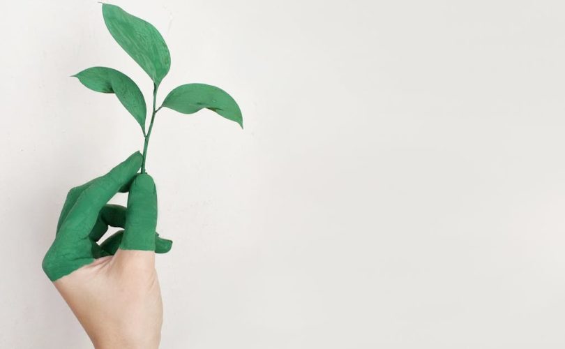 découvrez la mode durable : des vêtements éthiques, éco-responsables et respectueux de l’environnement. adoptez un style tendance tout en réduisant votre impact écologique avec des marques engagées.