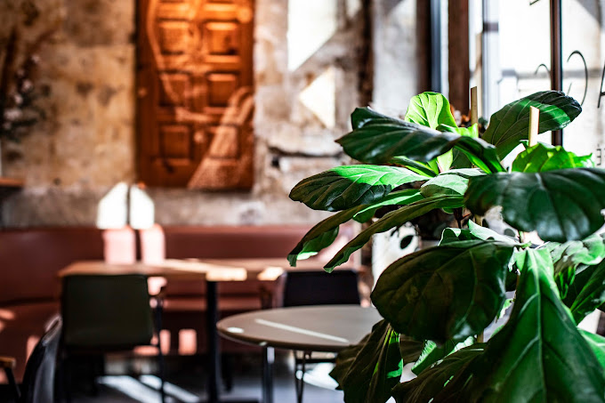 restaurant français à Lyon 6